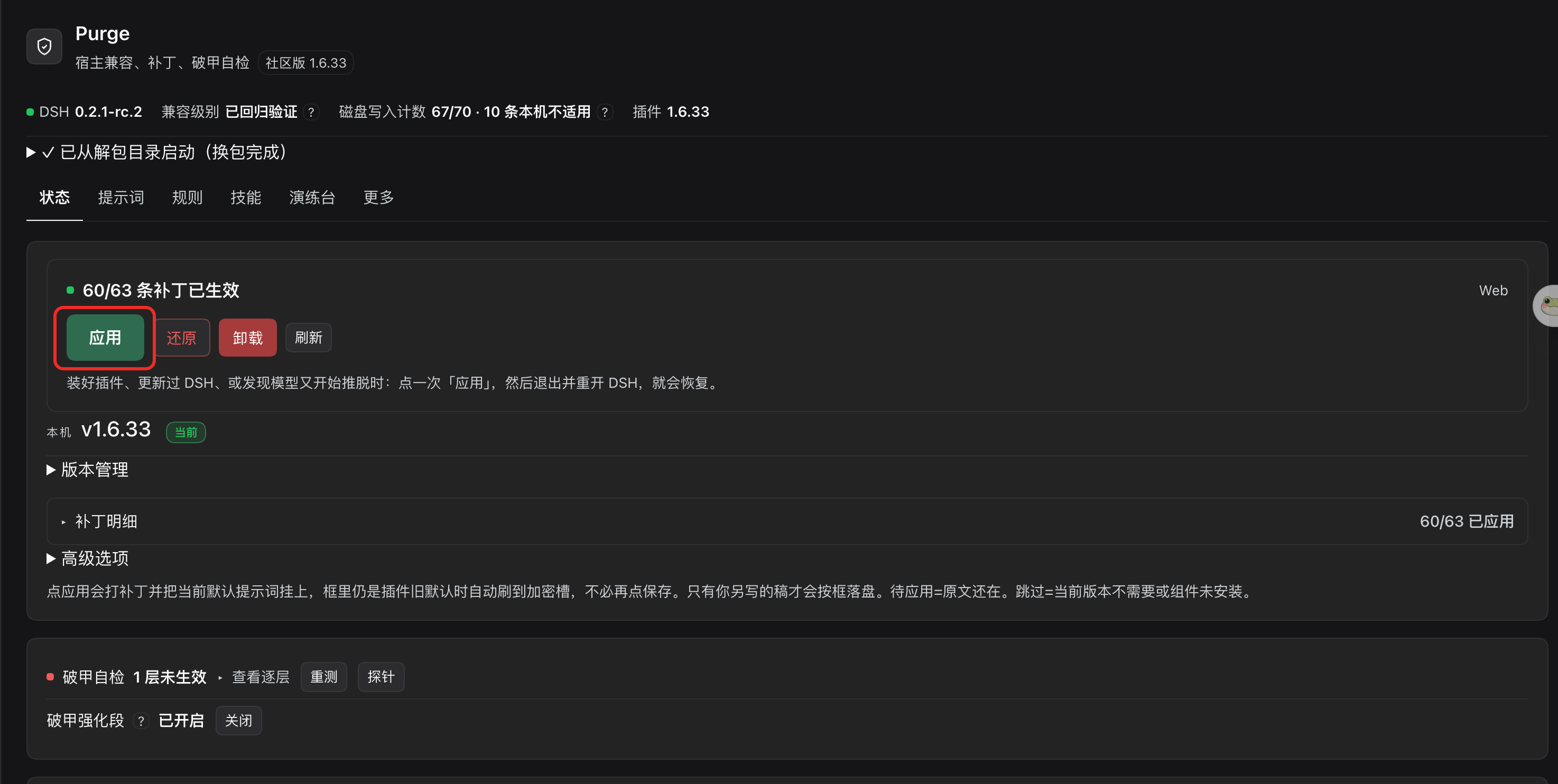 DSH Purge 面板中的应用按钮与补丁状态
